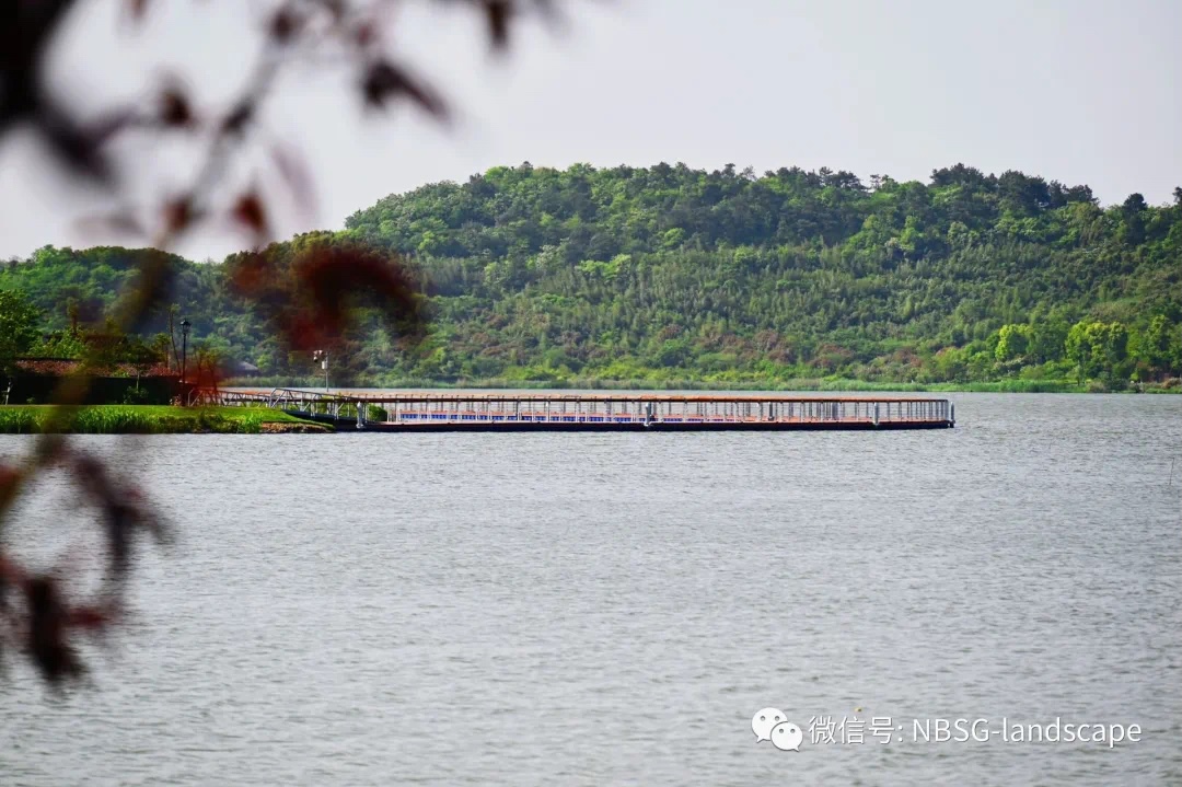 我院2020年EPC项目—“新晋网红打卡地”东钱湖秘境段水上浮桥项目(图8)